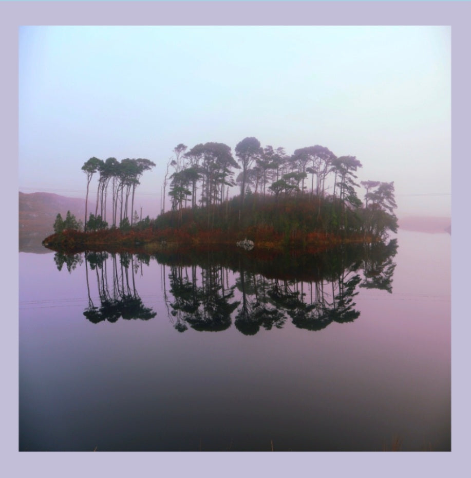Pine Island at Dawn
