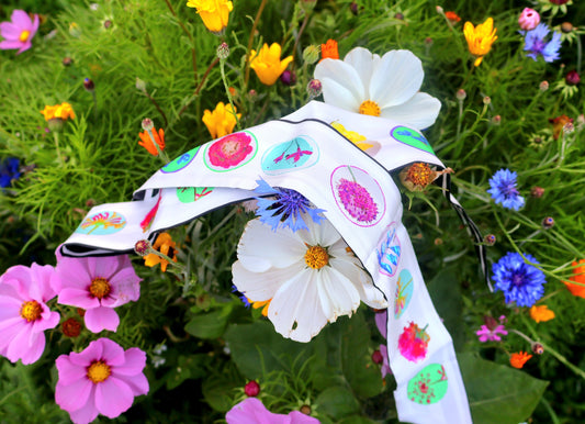 Wildflowers- lily white